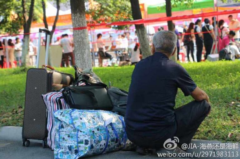 一組圖 竟讓無數網民淚流滿面