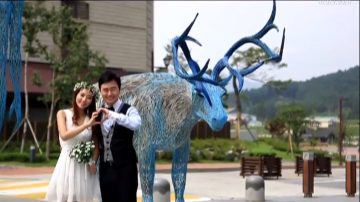 【你好韓國】真實的結婚攝影故事