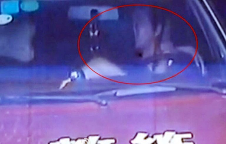 廣東妹學開車獻吻 網友吐槽「考照不容易」