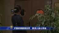 中國修煉廣傳世界  歐洲人身心受益
