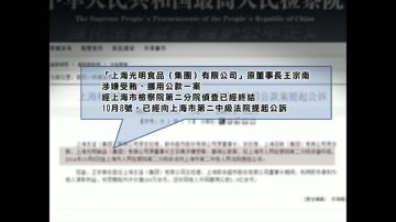 「紅頂商人」王宗南被公訴