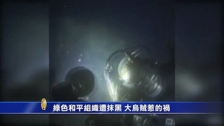 綠色和平組織遭抹黑  大烏賊惹的禍