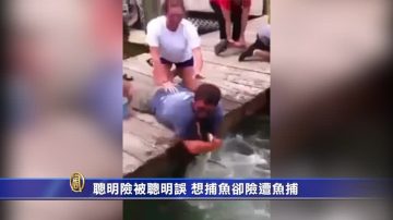 聰明險被聰明誤 想捕魚卻險遭魚捕