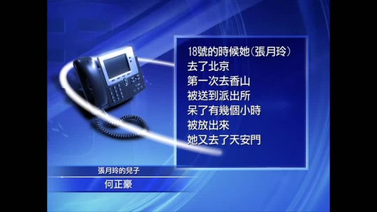 四中全會上訪 20多河南訪民被拘