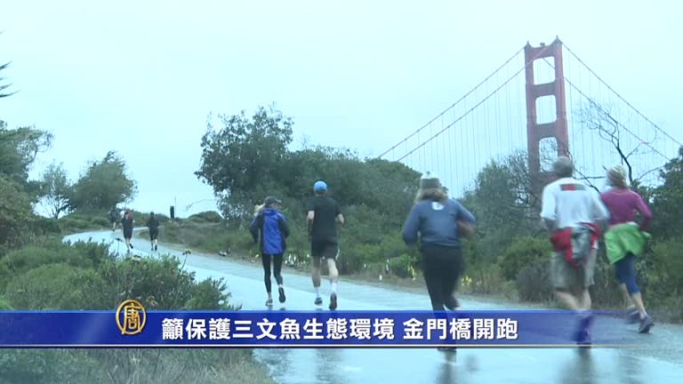 籲保護三文魚生態環境 金門橋開跑