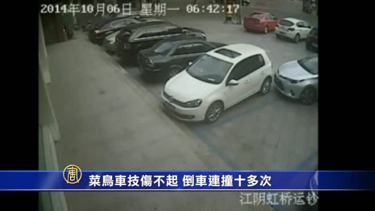 菜鳥車技傷不起 倒車連撞十多次