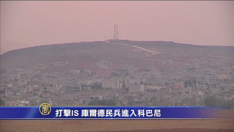 打擊IS 庫爾德民兵進入科巴尼