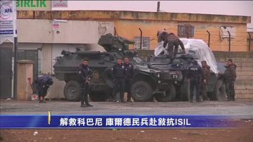 解救科巴尼 庫爾德民兵赴敘抗ISIL