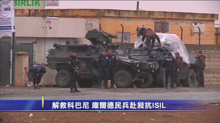 解救科巴尼 庫爾德民兵赴敘抗ISIL