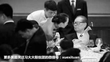 习粉丝替习近平解气？晒江泽民十一招待会盯美女照