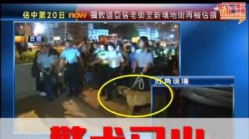 港警用警犬清场 动保团体强烈谴责并报案