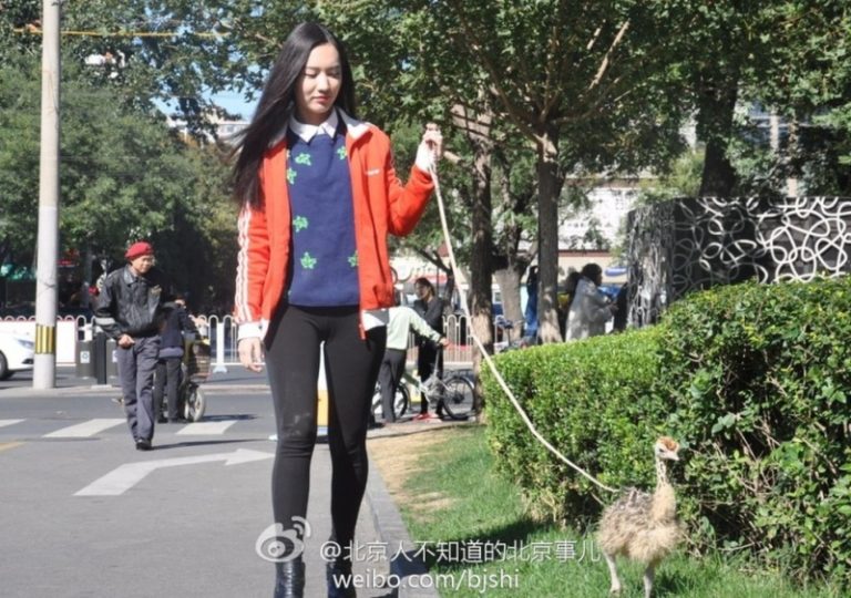 為賣鴕鳥肉 美女牽幼鳥遊街宣傳