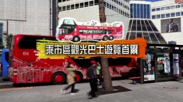 【你好韩国】乘市区观光巴士游览首尔