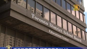 安省教育厅聘外部专家审查TDSB