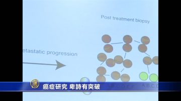 癌症研究 卑诗有突破