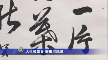 人生金婚日 书画展风情