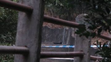 男子登山被2人打死  女友被強行抱走