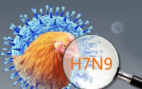 江蘇11月發現3例H7N9感染  2人死亡