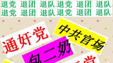 中共官員「包二奶」大獎賽 9項「桂冠」各有得主