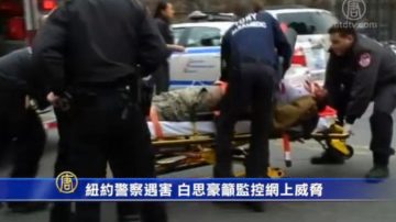 纽约警察遇害 白思豪吁监控网上威胁