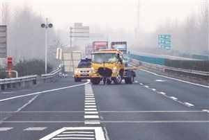 2米高鴕鳥撞破護欄 高速路上與貨車賽跑