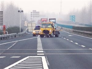 2米高鸵鸟撞破护栏 高速路上与货车赛跑