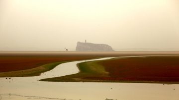 鄱阳湖变小水沟 专家指祸根在三峡