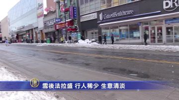 雪后法拉盛  行人稀少 生意清淡