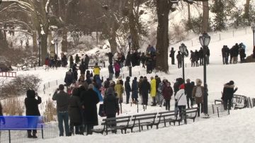 暴风雪后纽约景致迷人中央公园游客多