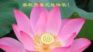 黑龙江法轮功学员恭祝李洪志大师元旦快乐