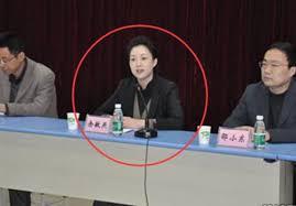 傳楊衛澤情人 無錫第一美女部長被查 照片曝光