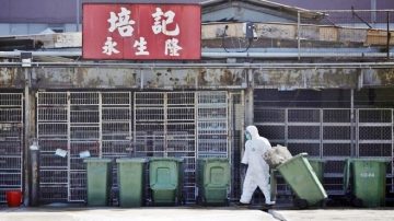 H3N2流感侵襲香港 奪31條人命