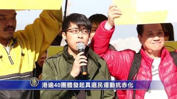 抗赤化 港逾40團體發起「真選民」運動