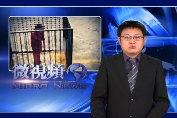 【微視頻】緬北華人被擊斃時孩子在吃奶
