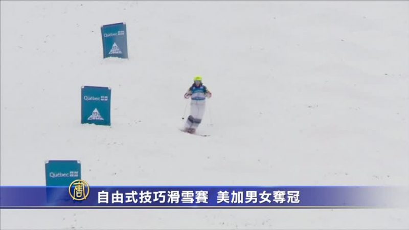 自由式技巧滑雪世界杯赛 美加男女夺冠