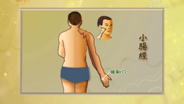 談古論今話中醫：肩頸保健