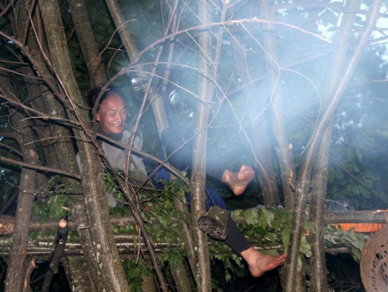 「周老虎」喊冤高院受理  欲打虎證清白
