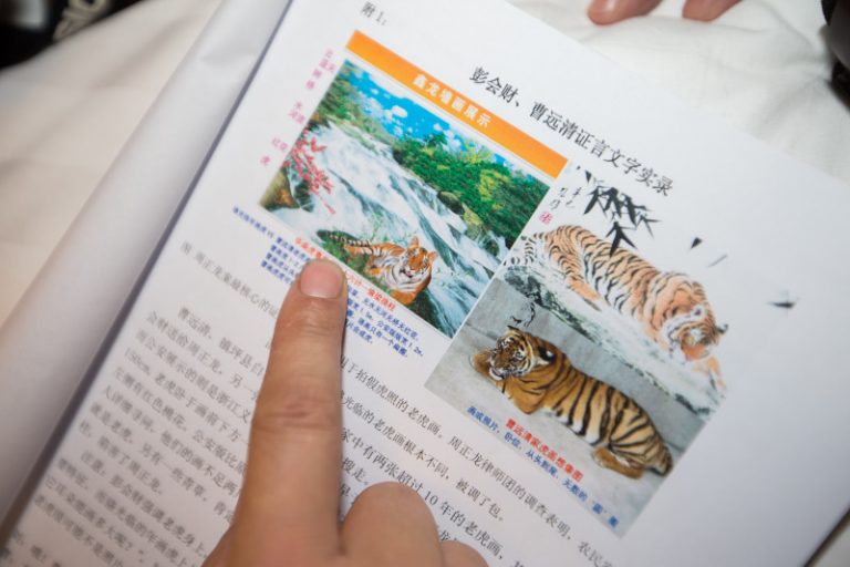 周正龍稱老虎照遭抄襲 控告年畫廠家