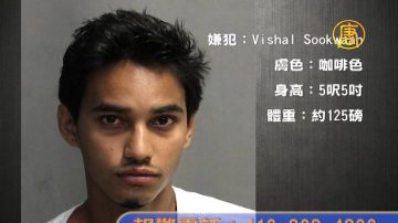 偷車加霸王油23歲男被控54宗罪