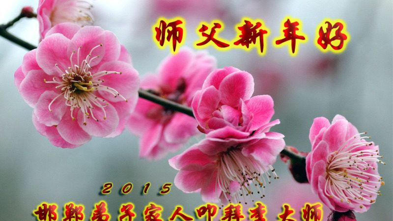 大陆百姓恭祝李洪志大师过年好（二）