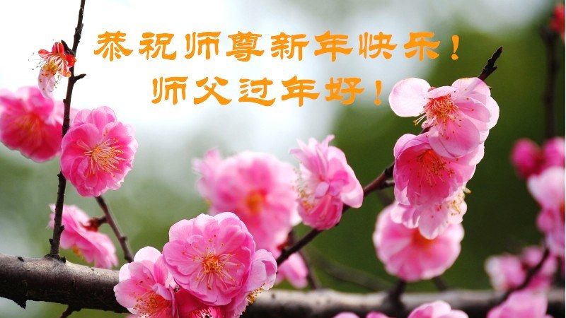 大陆教育系统大法弟子恭祝李洪志大师过年好（四）