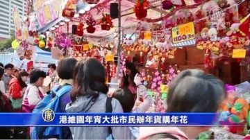 港人蜂涌搶購年貨 逼爆維園集市