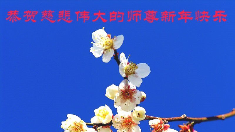 重庆大法弟子恭祝李洪志大师新年快乐（二）