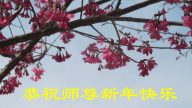 大陸福建大法弟子恭祝李洪志大師過年好（一）