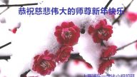 上海大法弟子恭祝李洪志大師過年好（三）