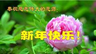 大陸山西大法弟子恭祝李洪志大師新年快樂（二）