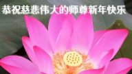 天津大法弟子恭祝李洪志大師過年好（三）