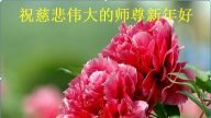 青島大法弟子恭祝李洪志大師過年好（二）