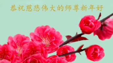 大陆黑龙江大法弟子恭祝李洪志大师过年好（二）