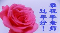 大陆百姓恭祝李洪志大师过年好（五）